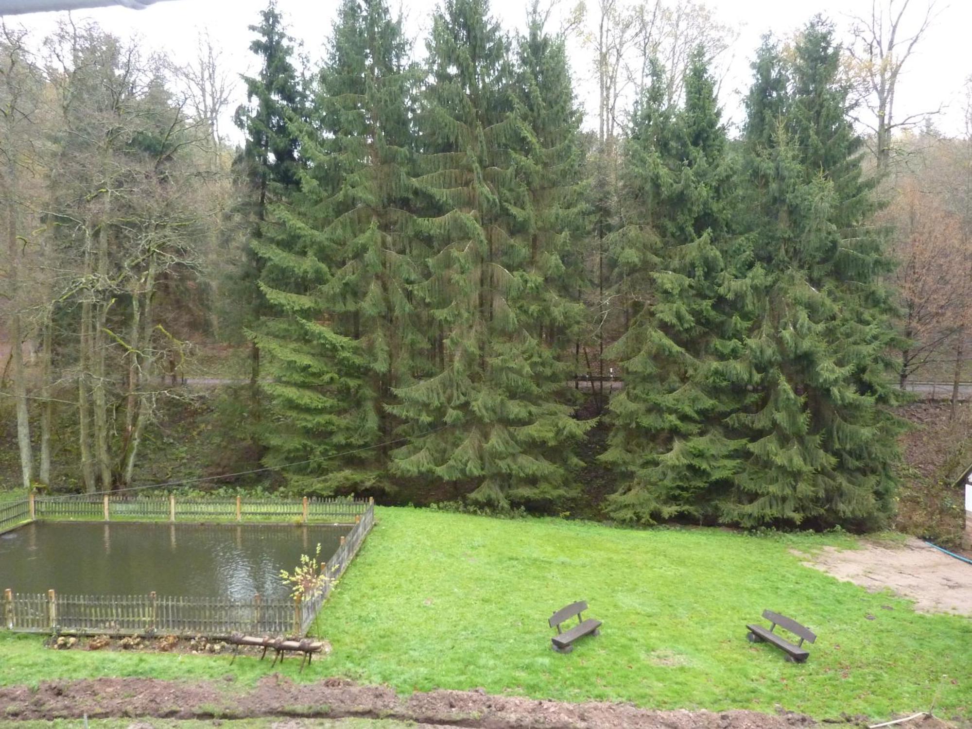 Hof Guttels Waldgasthof Ferienpension Rotenburg an der Fulda Camera foto
